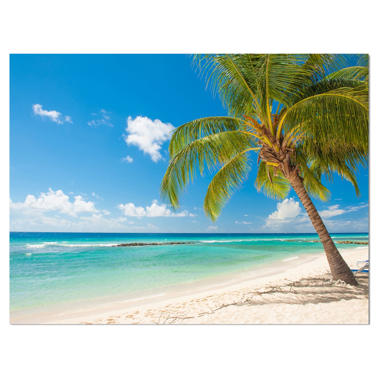 Designart - Palm tree over white sand - Landscapes Sea & Shore Photographic on wrapped Canvas